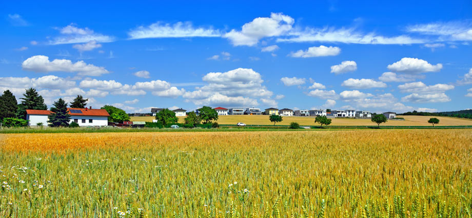 Urlaub mit Hund im Burgenland